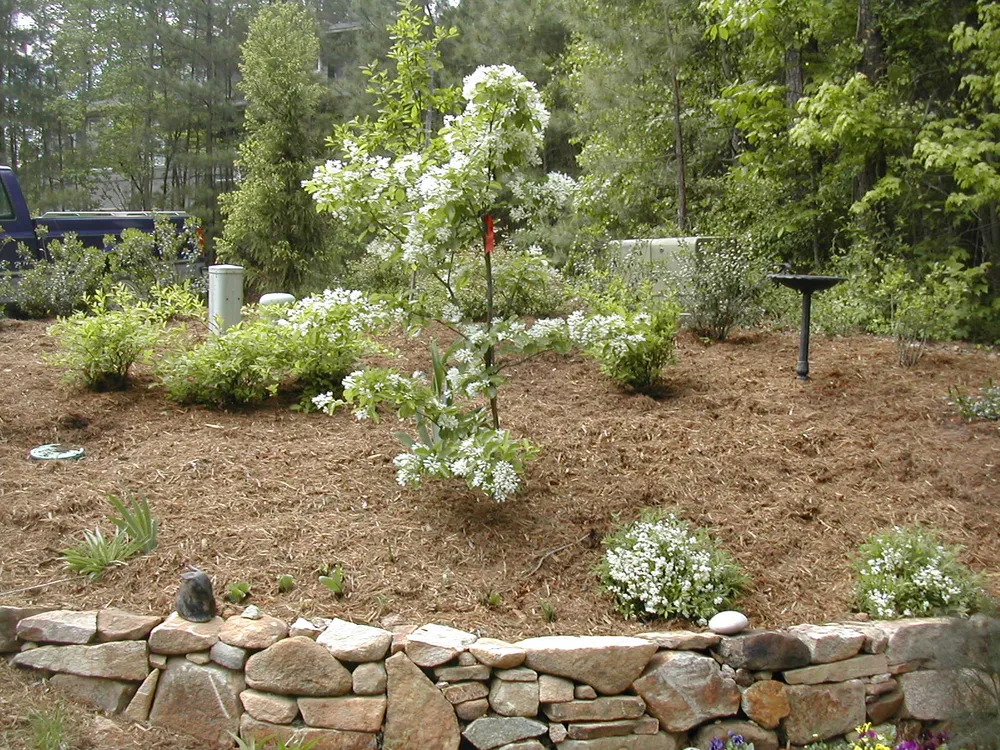 Matthew consulting in a garden