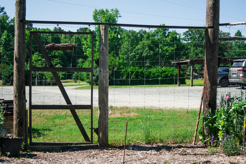 A deer fence around a garden