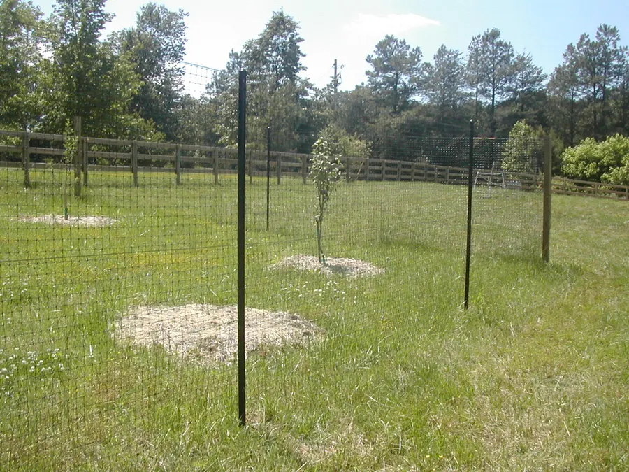Deer fence example