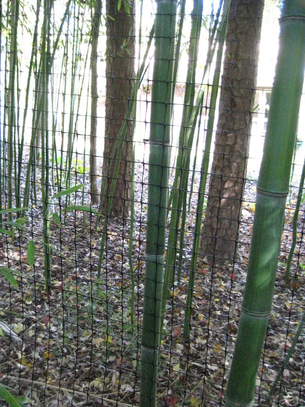 Deer fence example