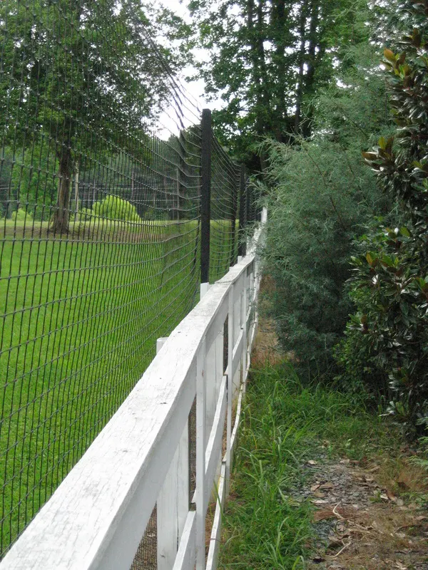 Deer fence example