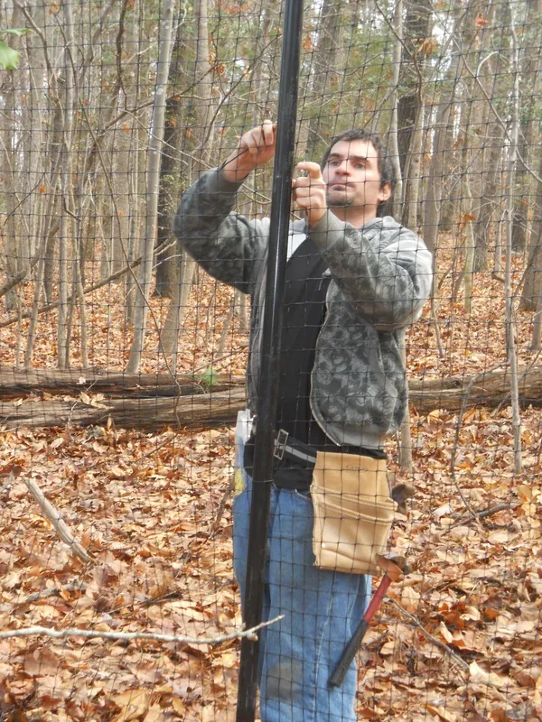 Custom deer fencing example