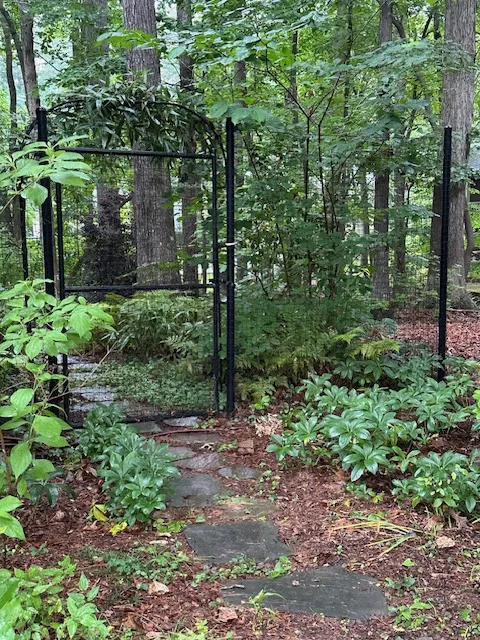 Landscape project
