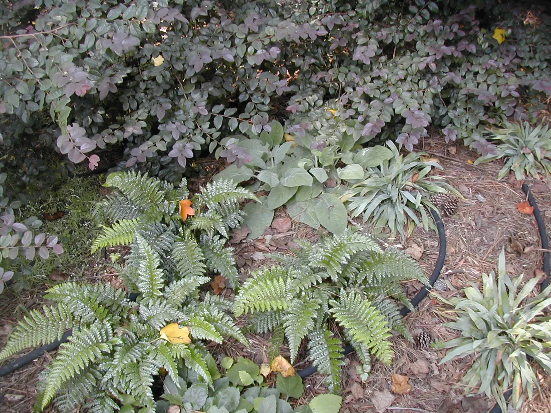 Garden installation