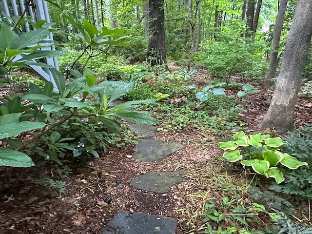 Planted border