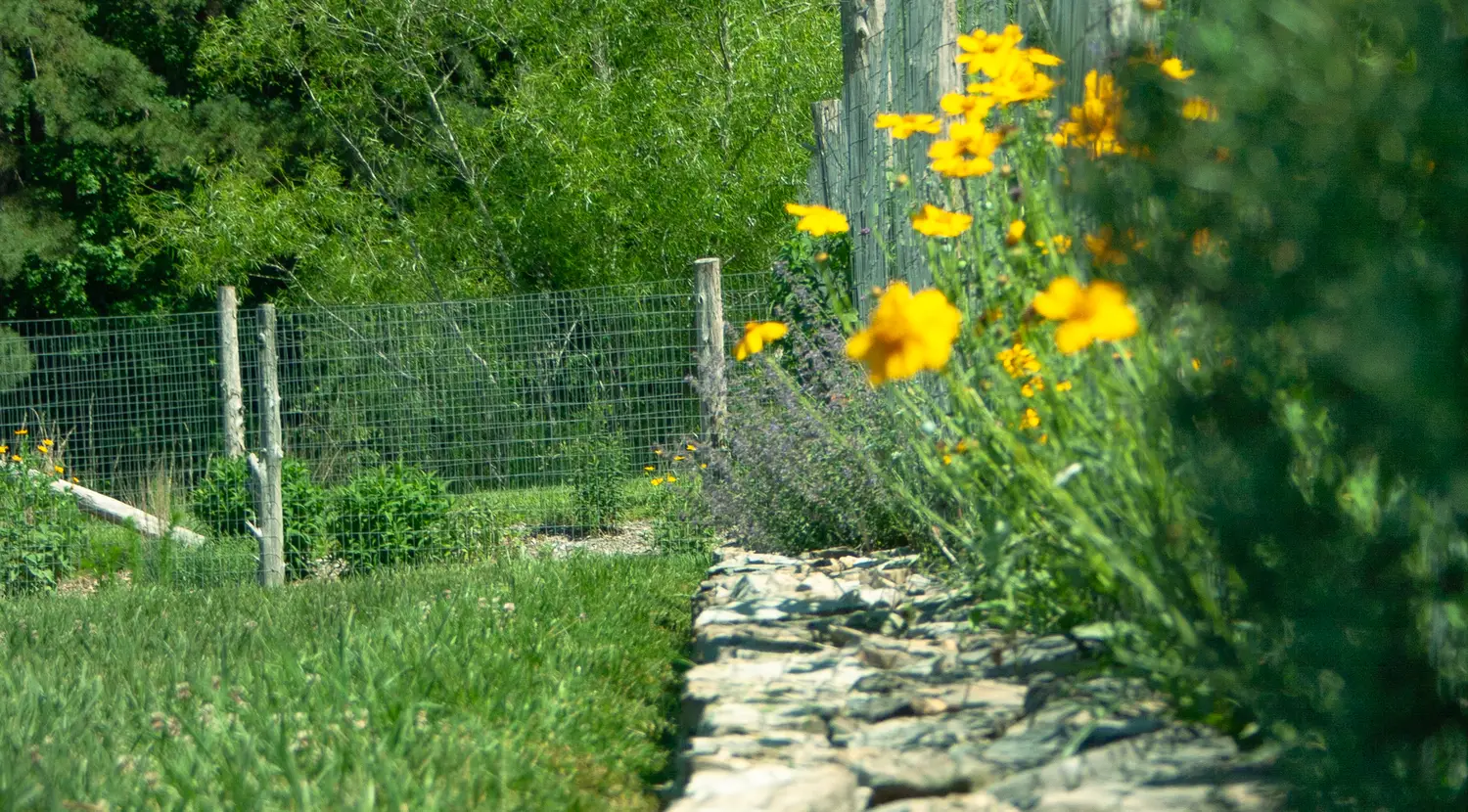 A lush, naturalistic Piedmont landscape